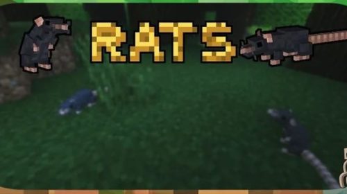 Rats - мод на крыс (1.16.5, 1.15.2, 1.14.4, 1.12.2)
