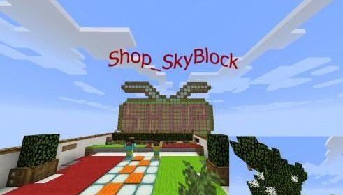 SkyBlock Shop - покупка вещей (1.15.2)