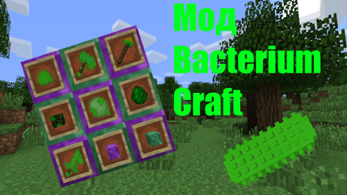 BacteriumCraft - Мод на Бактерий (1.15.2)